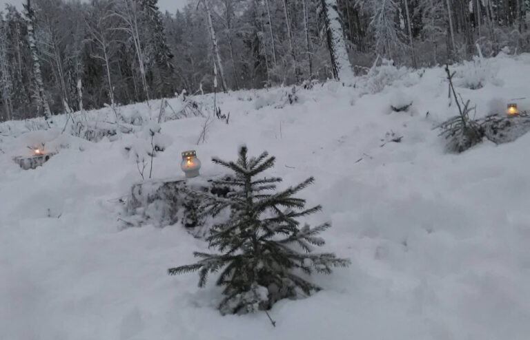 küünlad kuuseistikutega