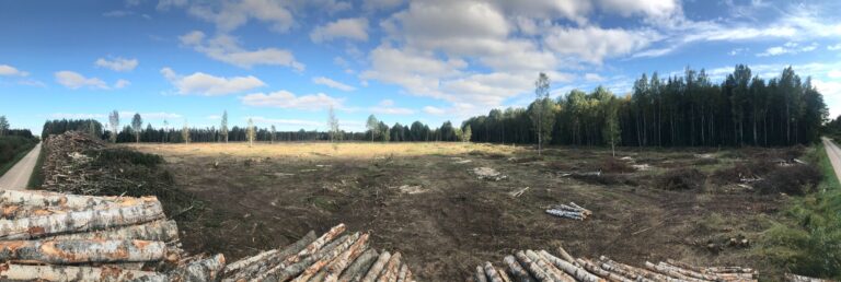 Tüüpiline lageraielank Eesti maastikul.