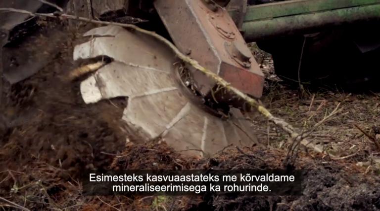 Mineraliseerimine. Pinnase läbisegamine.