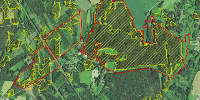 Kollane: Keskkonnaagentuur Natura metsaelupaikade esinemisalad (suure tõenäosusega on seal Natura metsaelupaik)