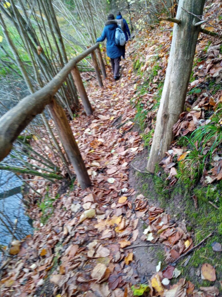 jõe ääres käsipuuga metsaäär