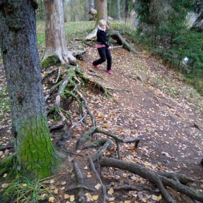 rohekoridor, laps metsas