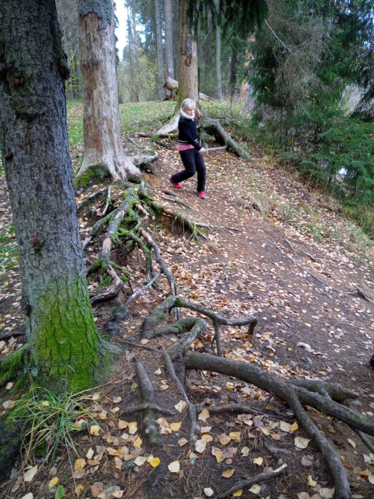 rohekoridor, laps metsas