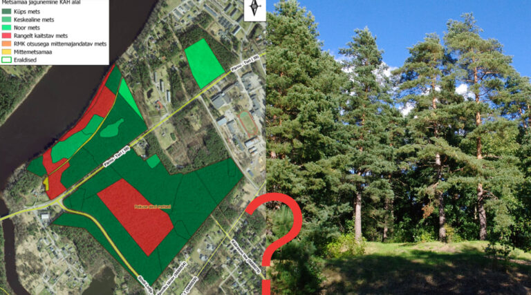 Paikuse alevi metsad