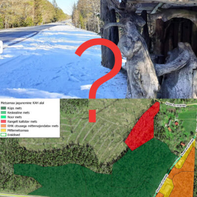 kuuse küla saaremaa