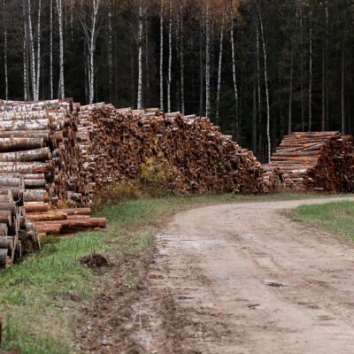 Puit. Foto: Karl Adami