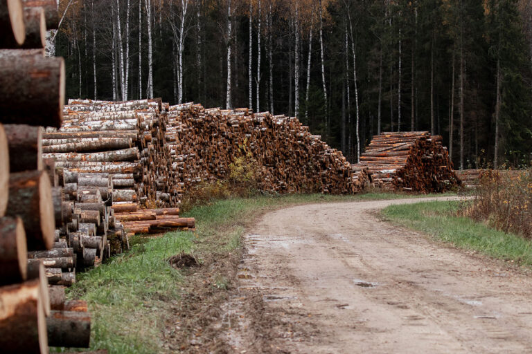 Puit. Foto: Karl Adami