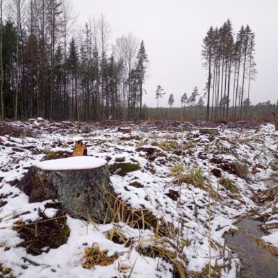 Känd. Pilt: Kaia Konsap