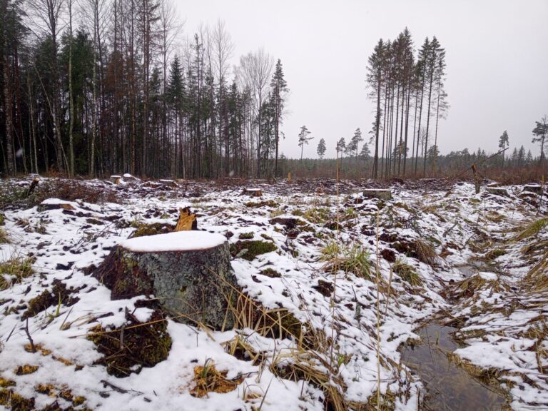 Känd. Pilt: Kaia Konsap